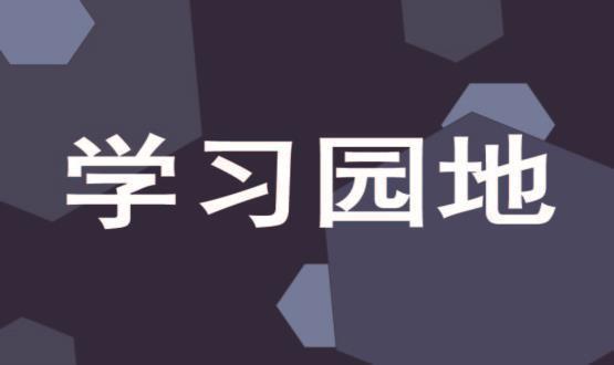 建設(shè)更加堅強(qiáng)有力的馬克思主義政黨（人民觀點）